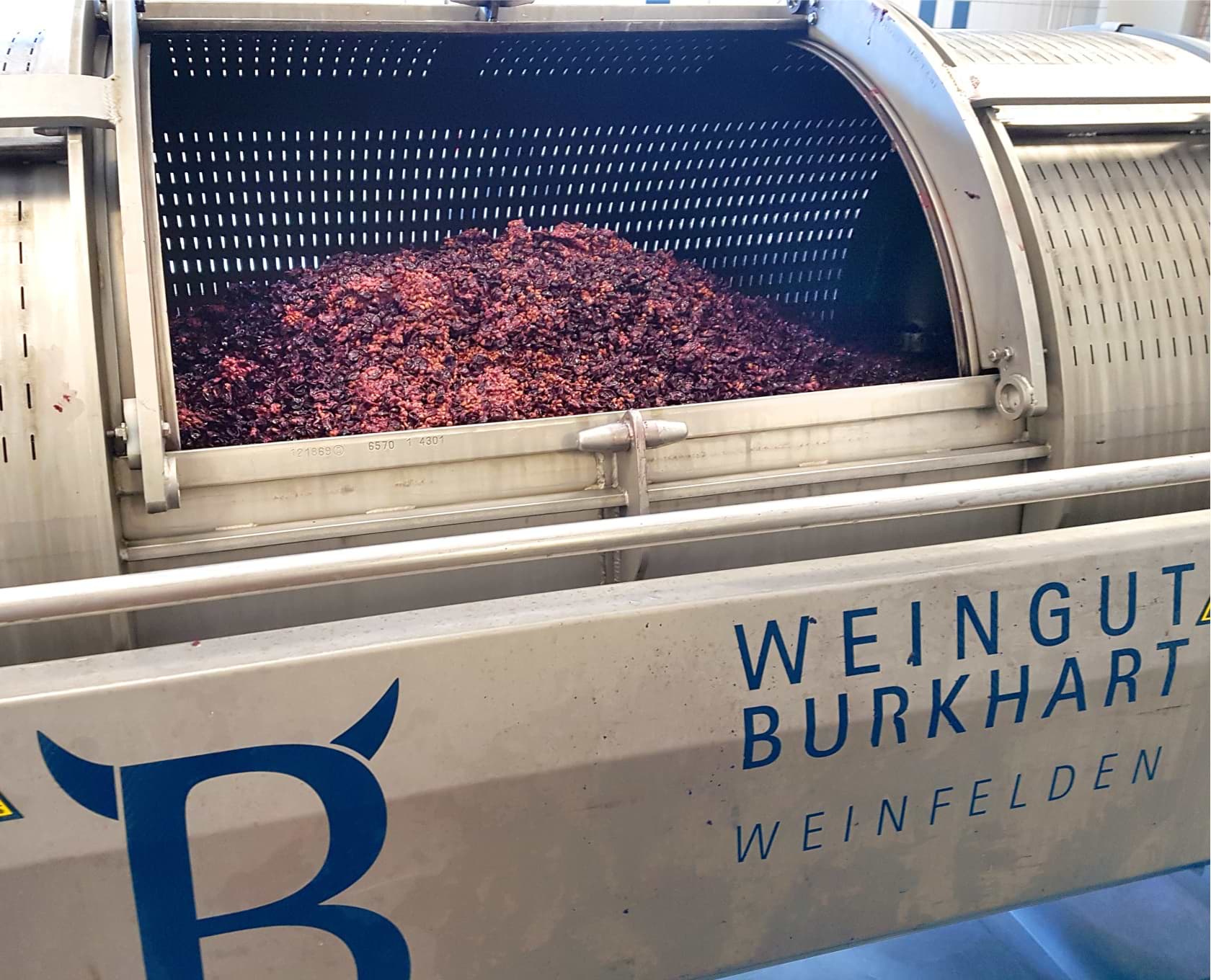 verarbeitung_trauben verarbeitung_trauben