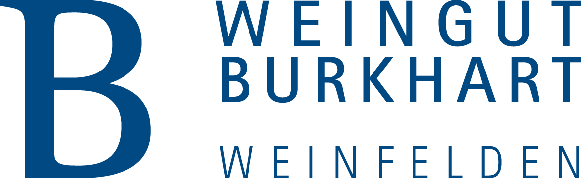 Baseballkappe für Kinder – Weingut Burkhart – aqua blau